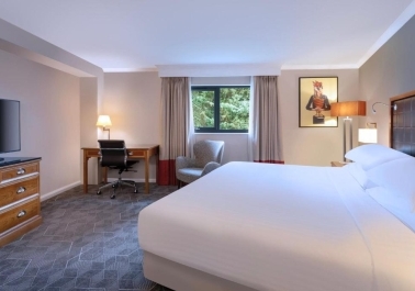 Relaxation Redefined: Unwinding in our Luxurious Suites sidebar image